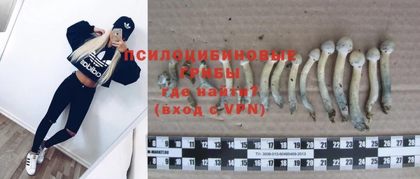 индика Нягань