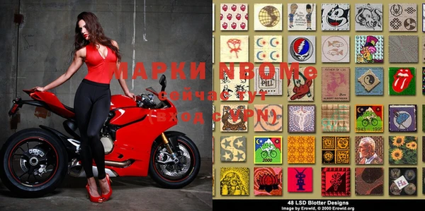 спайс Няндома