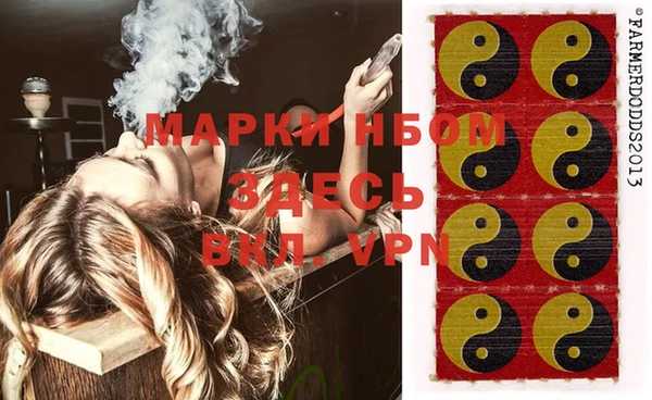 индика Нягань